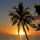 ���� Angely, ������� - ��������� 2 ������ 2011 � ������ ���� ����������