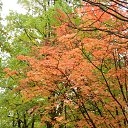 ���� �����, ������, 67 ��� - ��������� 11 ����� 2012 � ������ ���� ����������