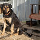 ���� �������, ��������, 47 ��� - ��������� 2 ���� 2013 � ������ �������