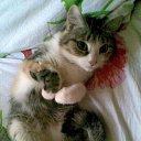 ���� ����, ��� - ��������� 11 ������ 2010 � ������ ���� ������� �������