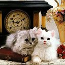 ���� Ihar., �����, 53 ���� - ��������� 18 ��� 2012 � ������ �������