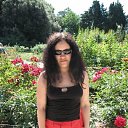  , , 33  -  15  2009   . .  