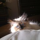   ( ),  -  22  2012     Ҹ!!!