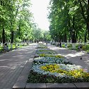  , , 69  -  7  2013      ...