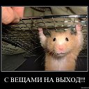 ���� ����, ������, 42 ���� - ��������� 25 ��� 2010 � ������ �������