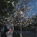 ���� �������, ����������, 59 ��� - ��������� 21 ���� 2012 � ������ ���� ����������