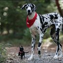 ���� ����� - ���������� ��������!!!, �����������, 56 ��� - ��������� 13 ������� 2009 � ������ ��������� (�����)�