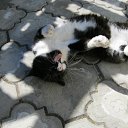 ���� V�������, ��������� - ��������� 26 ������� 2010 � ������ �������,������ ���� )))�