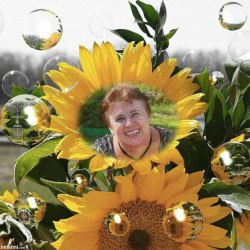 �����, ������, 73 ����