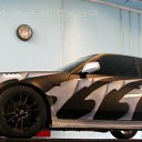 ���� ���������, �����-���������, 54 ���� - ��������� 10 ������� 2009 � ������ �����������,���� ������.�
