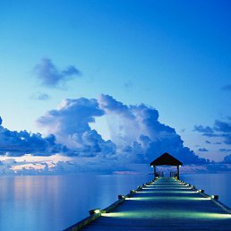 Serega, ������������, 45 ���