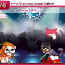 ���� ����, �����������, 23 ���� - ��������� 12 ������ 2010 � ������ �PetLove�