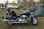 ���� King Black Wolf K&kappa;&psi;&eta;&beta;&omega;, �����-���������, 48 ��� - ��������� 16 ���� 2011 � ������ �������