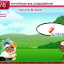  (), , 38  -  16  2010   PetLove