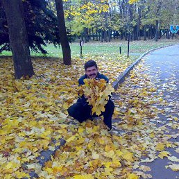 ������, ����������, 66 ���