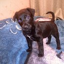 03 �� ������� ����� ��� ������������