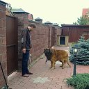 ���� Artem, ������, 37 ��� - ��������� 15 ���� 2012 � ������ ���� ����������