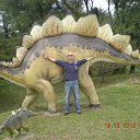 ���� �������, �����������, 66 ��� - ��������� 10 ������� 2012 � ������ ���� ����������