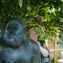 ���� �����, ������, 56 ��� - ��������� 24 ��� 2012 � ������ ���� ����