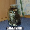 ���� Constantin, ������, 40 ��� - ��������� 12 ����� 2013 � ������ ������ ��������
