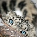 � ���� ��� �� ��� �������??? �� ������� ���� ������� ������� � ����)�