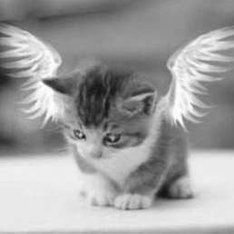 ���� �������, ������, 45 ��� - ��������� 8 ������� 2011