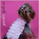 ���� &bull;&deg;&bull;&bull;���&bull;&deg;&bull;&bull;, �������, 24 ���� - ��������� 29 ���� 2012 � ������ ��������