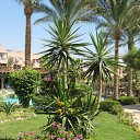  Svetlana, , 59  -  18  2012    