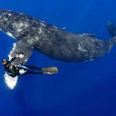 ���� ����� - ���������� ��������!!!, �����������, 56 ��� - ��������� 20 ������� 2009 � ������ ������������� ��������� � ��������� ���!�