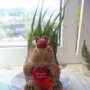 ���� ������, �����, 46 ��� - ��������� 9 ������ 2012