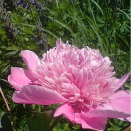 ���� ��������-������, ������, 62 ���� - ��������� 5 ���� 2011