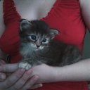 ���� �����, ������, 36 ��� - ��������� 31 ������� 2012 � ������ �������