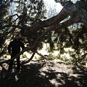 ���� Marijan, �������, 49 ��� - ��������� 11 ����� 2012 � ������ �a�