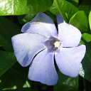 ���� Empire, ������-��-���� - ��������� 4 ��� 2010 � ������ ����