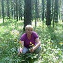 ���� �����, ���������� - ��������� 15 ���� 2013