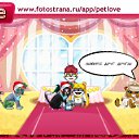     , -, 40  -  21  2010   PetLove