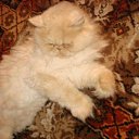  , -, 66  -  13  2012    