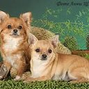 ���� &bull;&deg;&bull;&bull;���&bull;&deg;&bull;&bull;, �������, 24 ���� - ��������� 29 ���� 2012 � ������ ��������