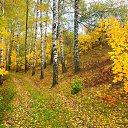 ���� �����, ������ - ��������� 10 ������� 2012