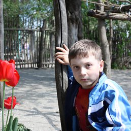 ���� ����, ������, 26 ��� - ��������� 26 ��� 2010