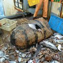 ���� ���������, �����������, 67 ��� - ��������� 25 ����� 2012