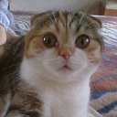 ���� ��������, ����, 59 ��� - ��������� 1 ������� 2013 � ������ ���� ����������