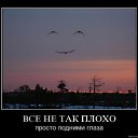 ���� �������, ������, 41 ��� - ��������� 25 ����� 2011 � ������ �������