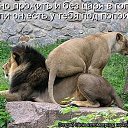 ���� ��������, ��������������, 57 ��� - ��������� 12 ������� 2009 � ������ �����������