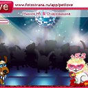 ���� �������, ������, 40 ��� - ��������� 4 ������� 2010 � ������ �PetLove�