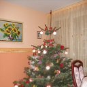 ���� Sergej Korcik, ����, 67 ��� - ��������� 4 ������ 2011 � ������ �������