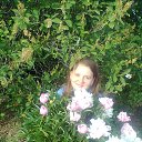 ���� �����, �������������, 42 ���� - ��������� 5 ���� 2013 � ������ ���� ����������