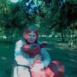 ����, ����, 66 ���