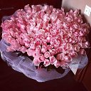 ���� ��������, ������, 44 ���� - ��������� 7 ���� 2013 � ������ �������