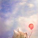  Infinitty, , 27  -  27  2011    !